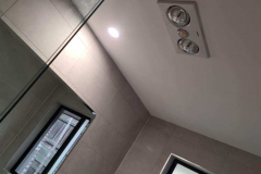 Ceiling Fan And Heater